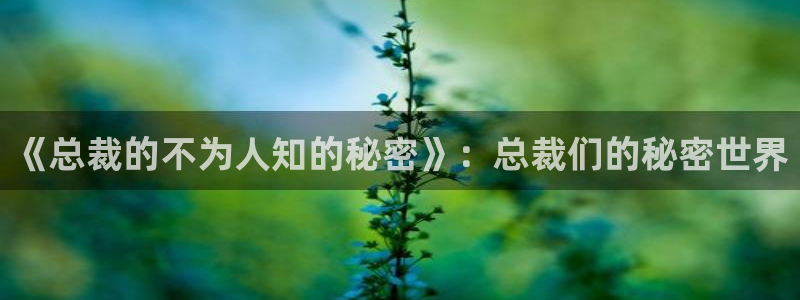 51漫画在线：《总裁的不为人知的秘密》：总裁们的秘密世界