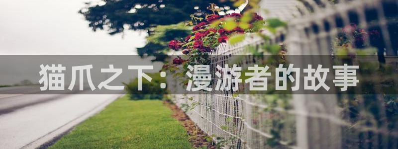 51漫画免费网址：猫爪之下：漫游者的故事