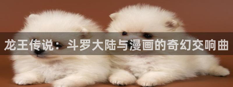 51漫画啊啊啊：龙王传说：斗罗大陆与漫画的奇幻交响曲