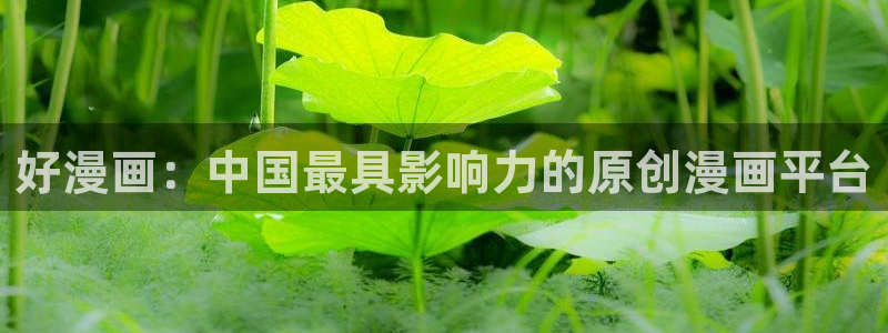 虫虫漫画51漫画网：好漫画：中国最具影响力的原创漫画平台