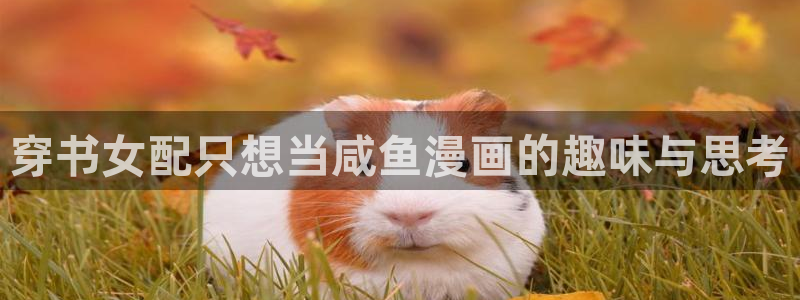 51漫画网入口：穿书女配只想当咸鱼漫画的趣味与思考