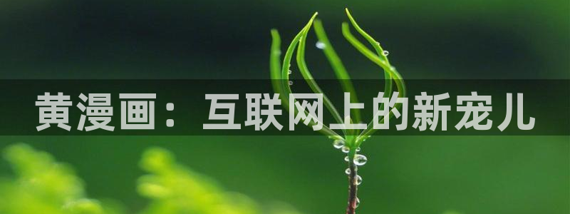 51漫画网站入口免费：黄漫画：互联网上的新宠儿